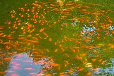 《永冻纪元》Steam试玩发布 寒冬生存冒险