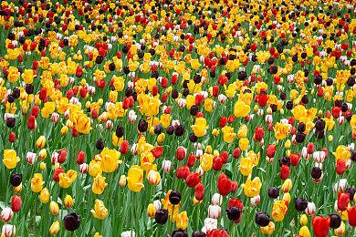 Fami通新一周销量榜 《恐怖惊魂夜×3》登顶